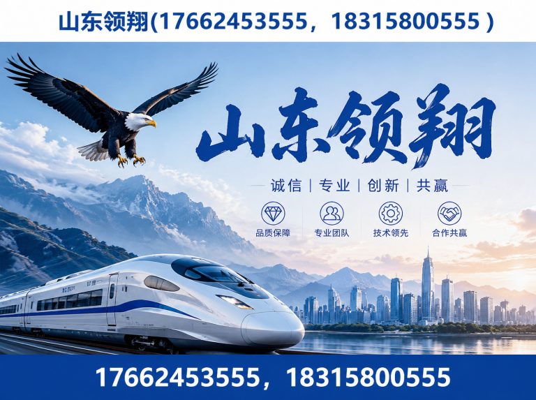 和田山东领翔展示图